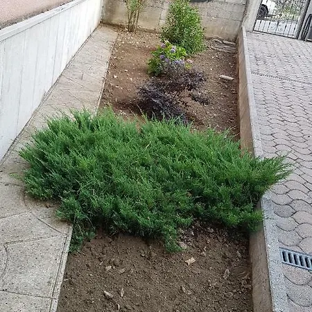 Casa Rosa Διαμέρισμα